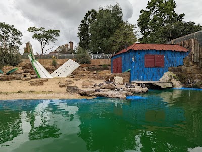 Penguin Bay